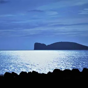 https://alghero-sun-sea-spiaggia-a-50-metri.hotelsalgherosardinia.com